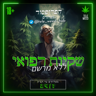 הפרופסור כיוונים