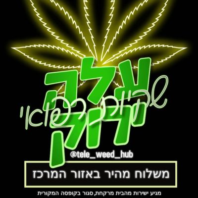 עלה ירוק כיוונים